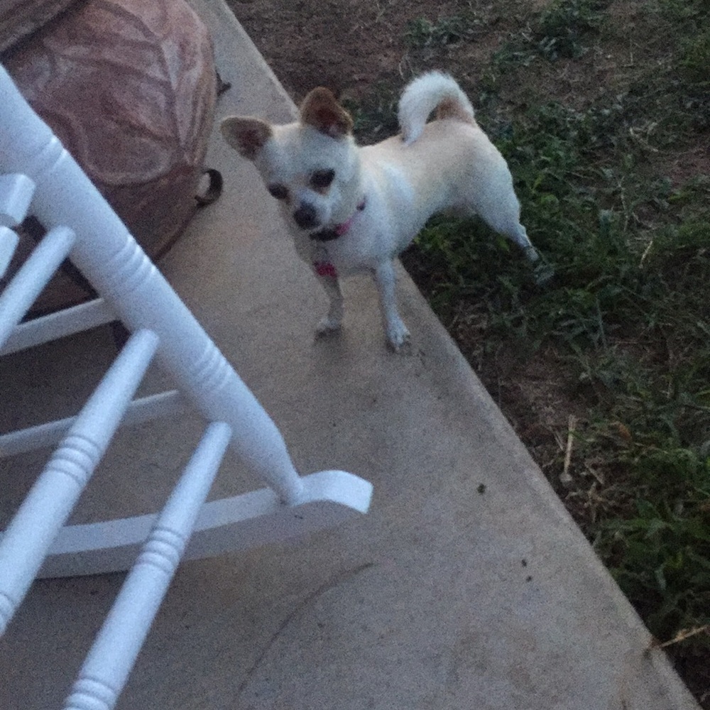 Meet your Posher, Laura